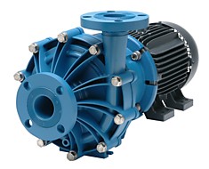 DB22P 5,5 Химический насос FTI